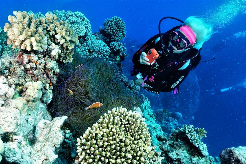 A scuba diver taking a photo of coral.