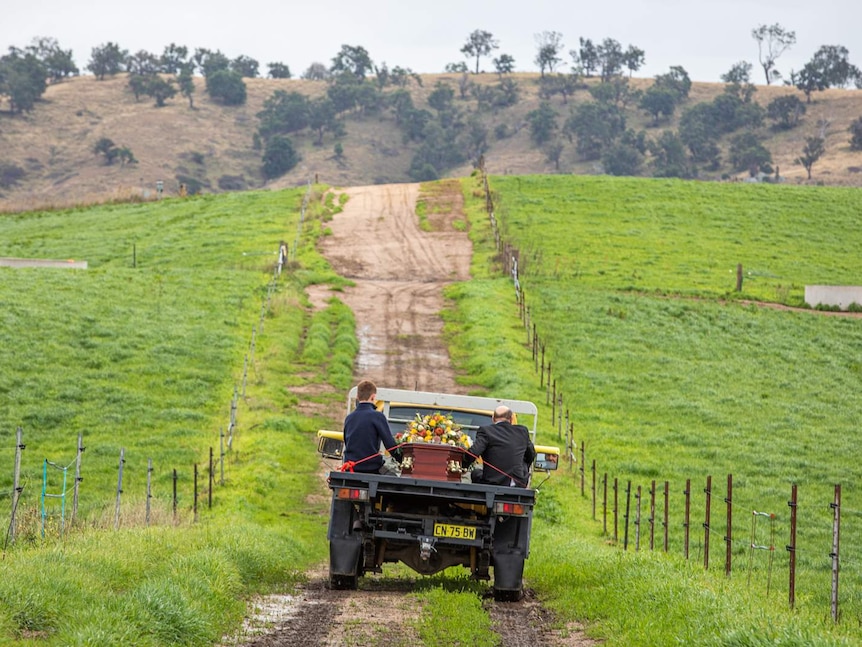 Rear view of yellow ute with a coffin strapped on the back with a boy and man either side, driving up a dirt track on a farm.