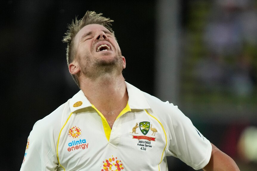 David Warner tilts his head back, with his mouth open and eyes closed