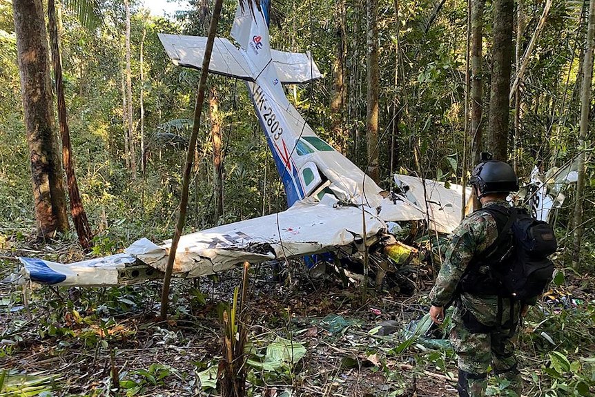 A plane crashed in a forest. 