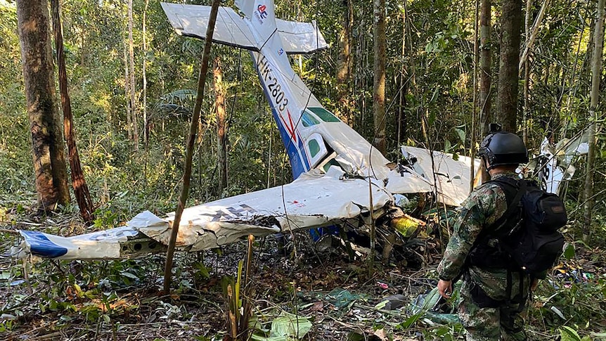 The plane which was carrying the four children was discovered in thick jungle.