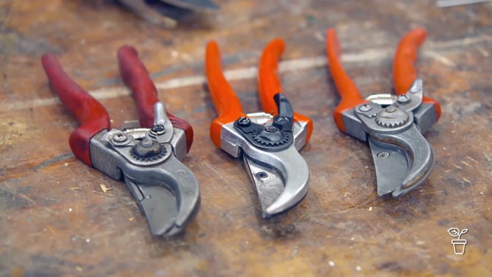 3 pairs of secateurs with red handles lying on a bench