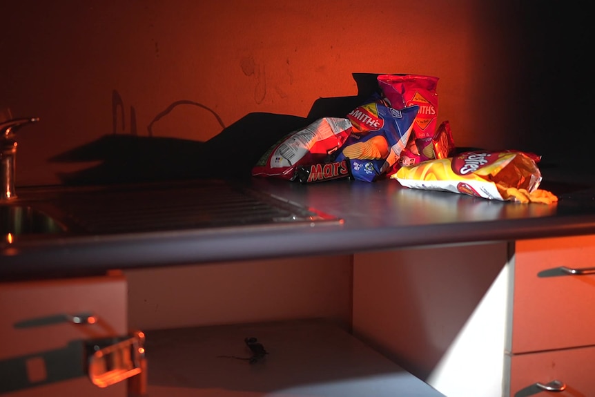 Packets of potato chips and a chocolate bar sit on a benchtop.