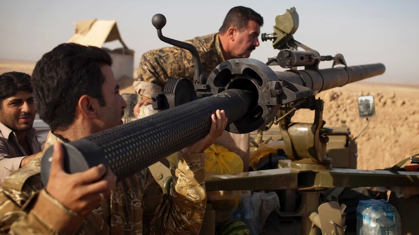 Kurdish fighters save Iraqi town of Amerli from Islamic State rebels