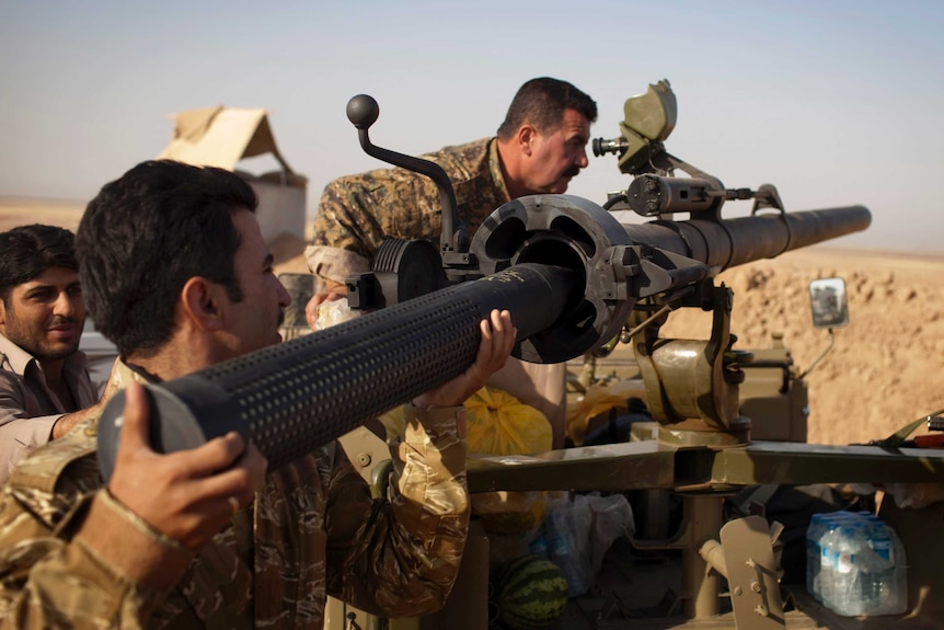 Kurdish fighters save Iraqi town of Amerli from Islamic State rebels