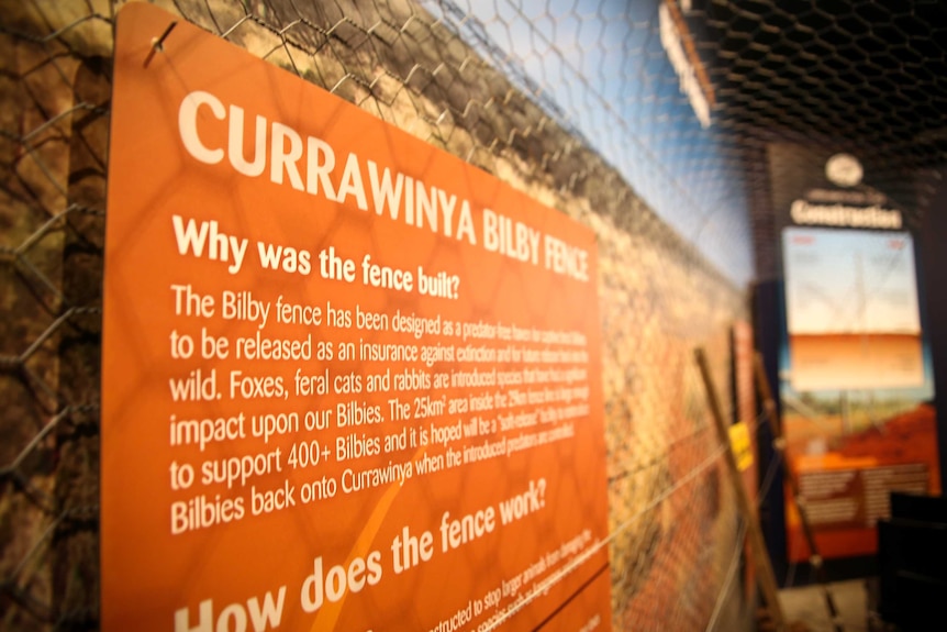 A wall featuring information on a fence that protects bilbies in western Queensland