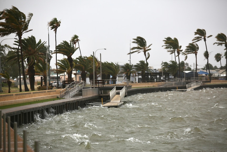 Rough seas whipping at a jetty and wind-swept palm trees