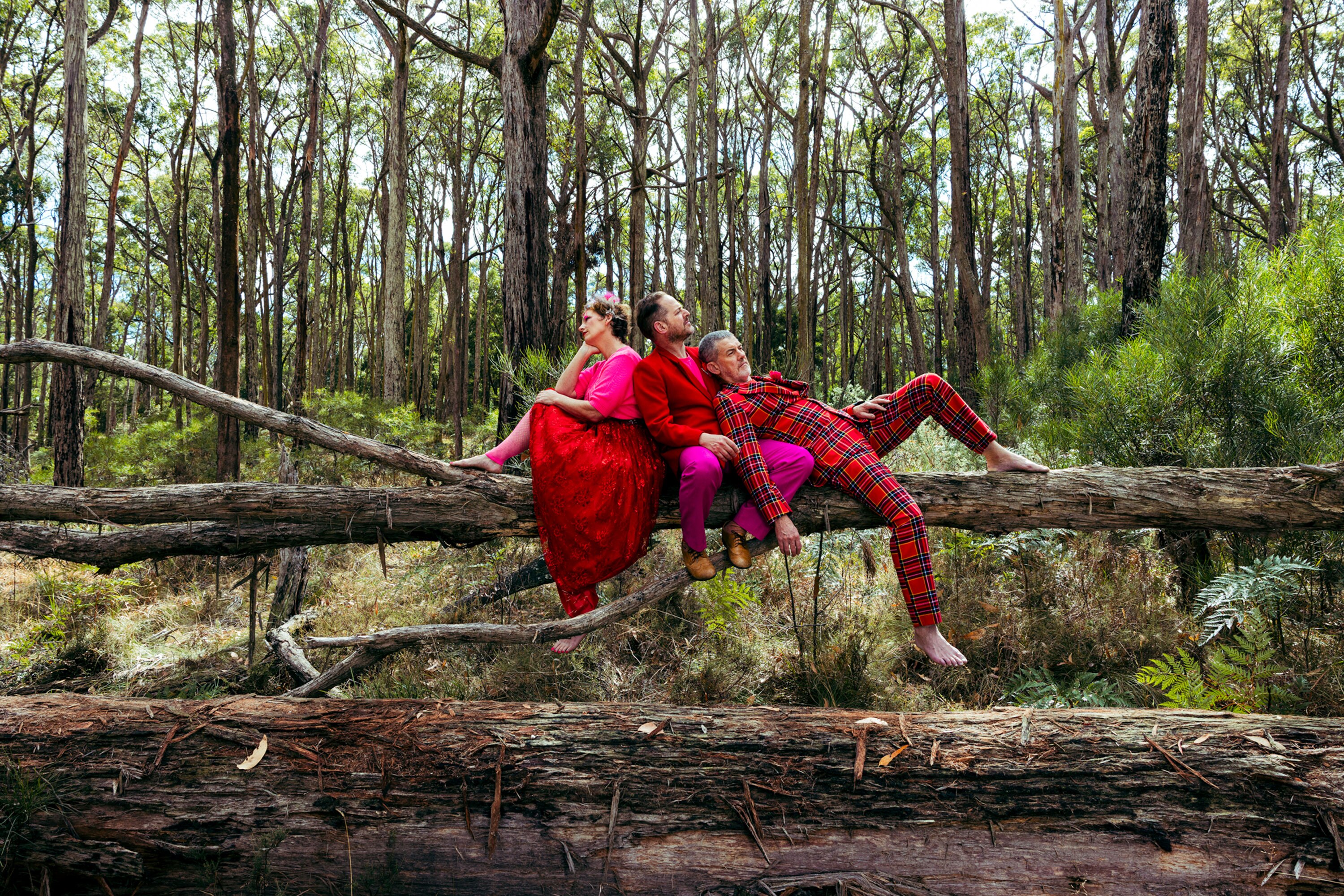 Bush Gothic on the fine line between pleasure and pain, and director Netia Jones on Purcell's wild semi-opera The Fairy Queen