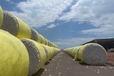 A row of large round cotton modules wrapped in yellow plastic sitting outside a large tin shed.