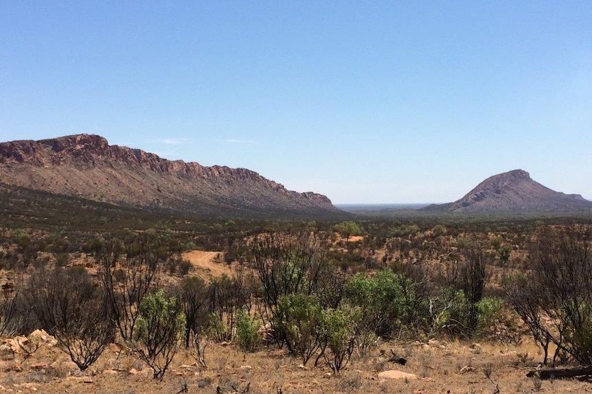 Land in the Northern Territory with scrubby bushes in the foreground and hills in the background.