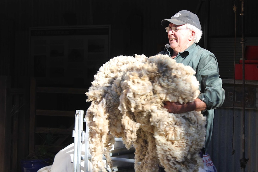 Hughenden Shearer Warren Wall carrying a fleece
