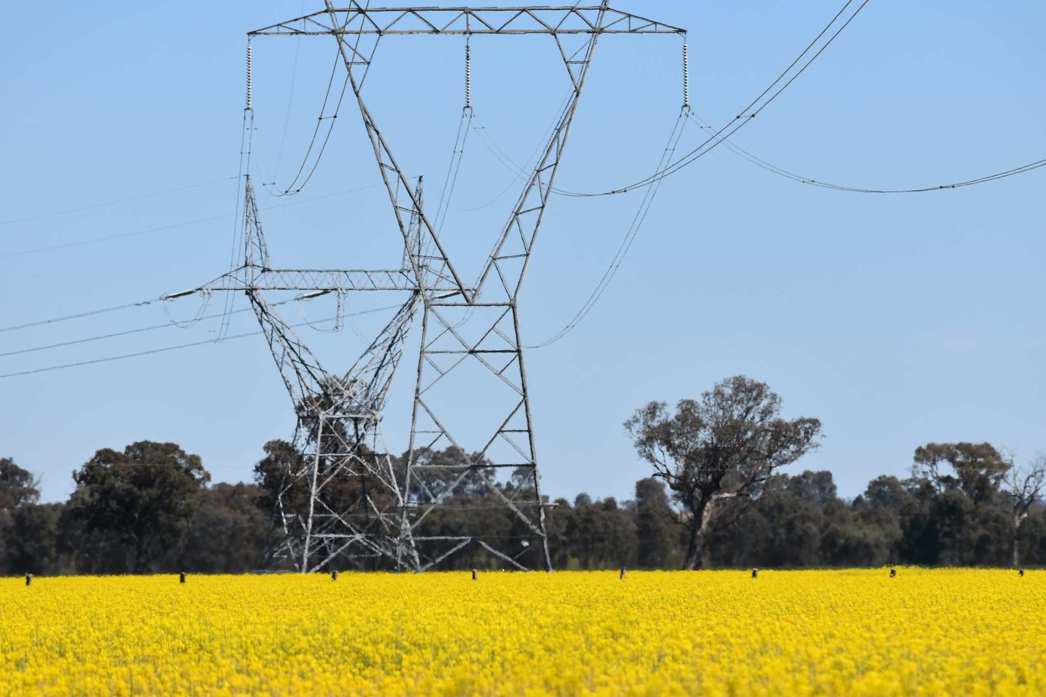 TransGrid power lines run through a Culcairn farm in New South Wales.