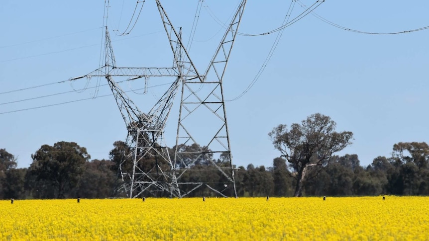 La ligne de transmission Riverina d’EnergyConnect reçoit le feu vert du gouvernement NSW