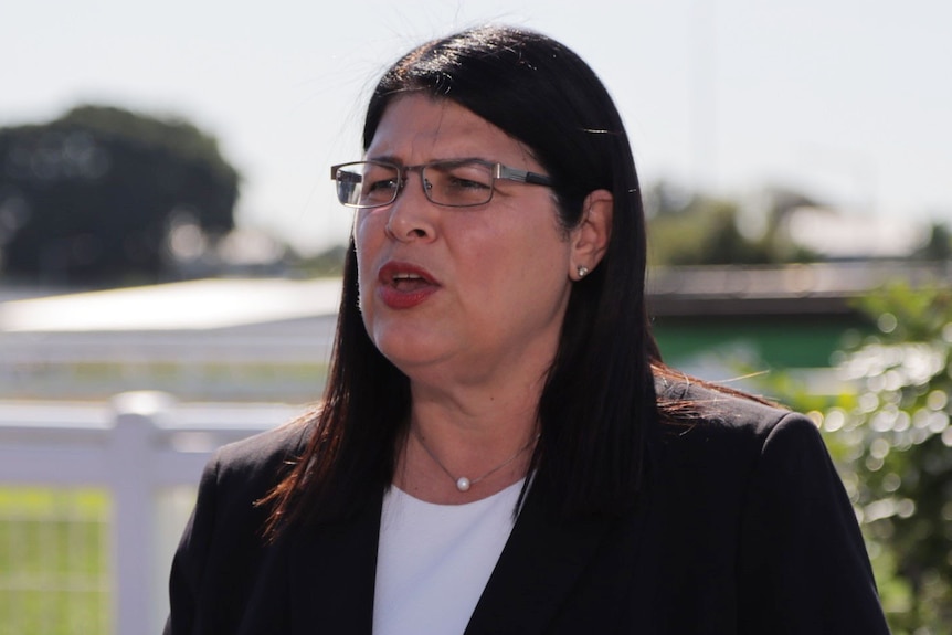 Queensland Education Minister Grace Grace speaks at a media conference in Brisbane