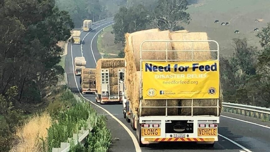 Semi trailers transporting hay with Need for Feed Charity on main highway