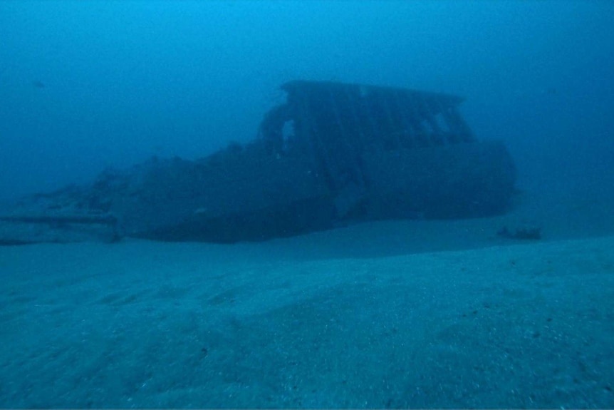 the wreck of the SS Wollongbar II sits on the sandy ocean floor