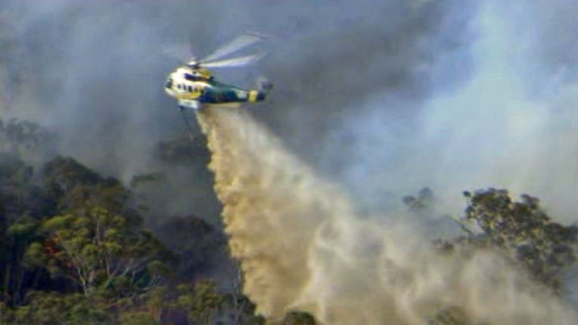 A waterbomber in action