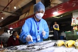 A woman in full PPE swipes a swab over a fish at a market