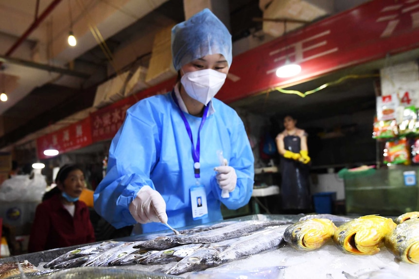 A woman in full PPE swipes a swab over a fish at a market