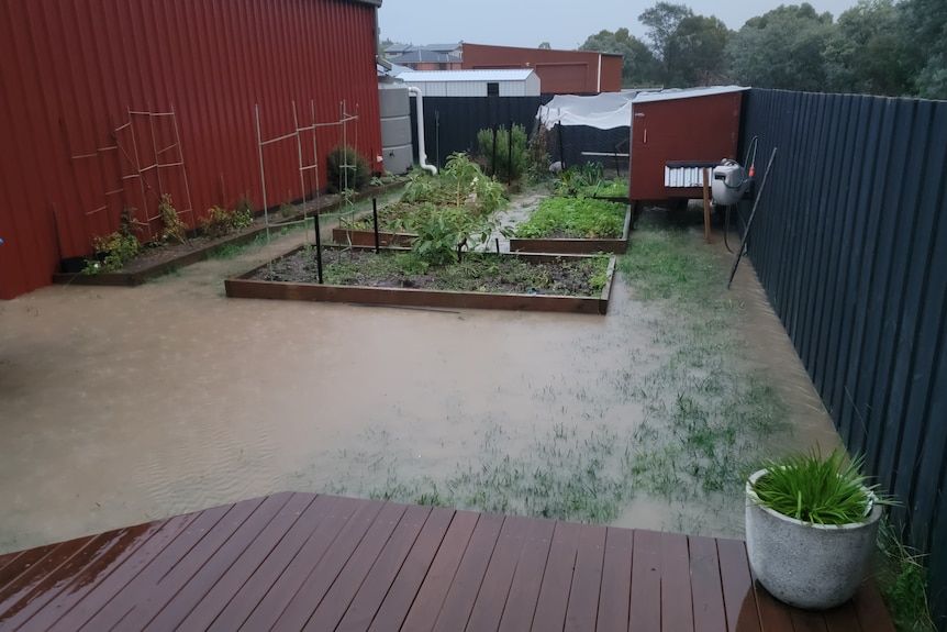 A flooded backyard.