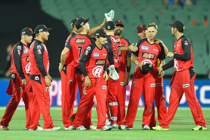 Melbourne Renegade celebrate a wicket