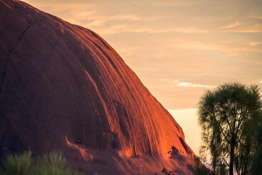 Sunrise creates soft light on the face of Uluru.