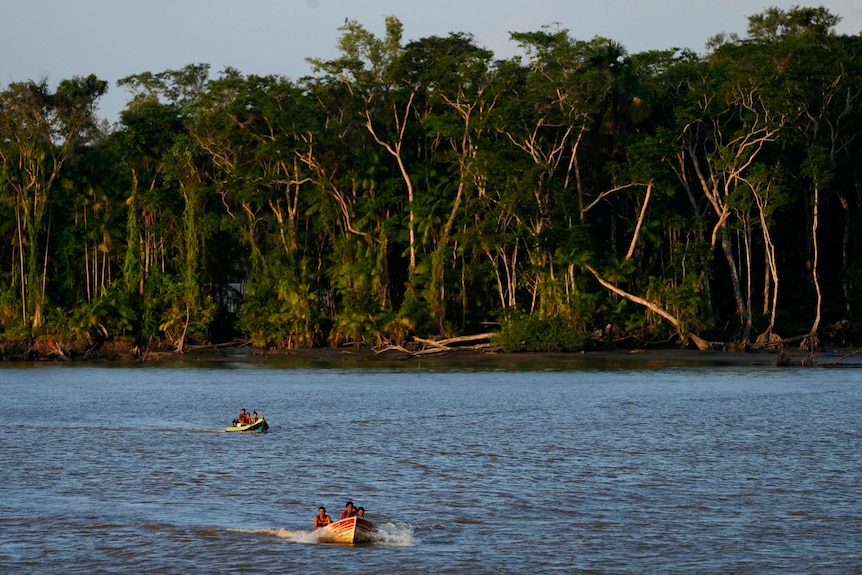 small boats travel through a river through the Amazon rainforest in northern Brazil, with some of the trees having fallen over