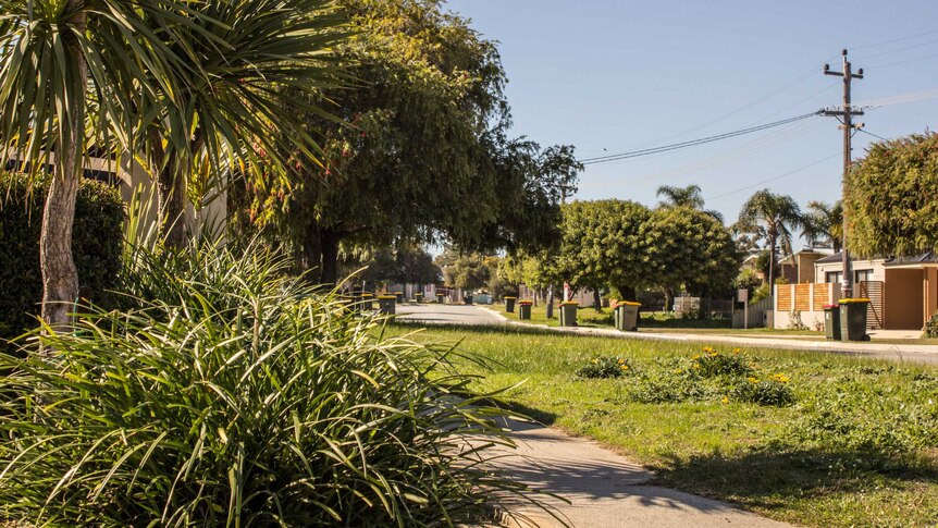Balga has been dubbed the 'new north' leafy suburb 15km from the centre of Perth.