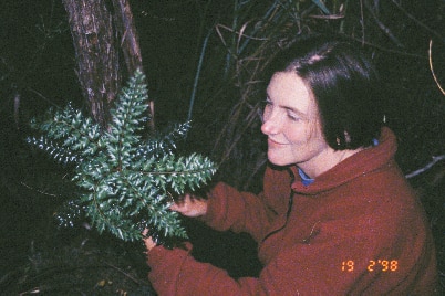 Grainy photo of a woman in dark forest looking at a plant 