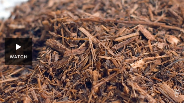 A pile of bark mulch. Has Video.