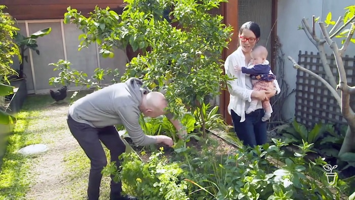 Man tending vegie bed with woman watching holding a baby