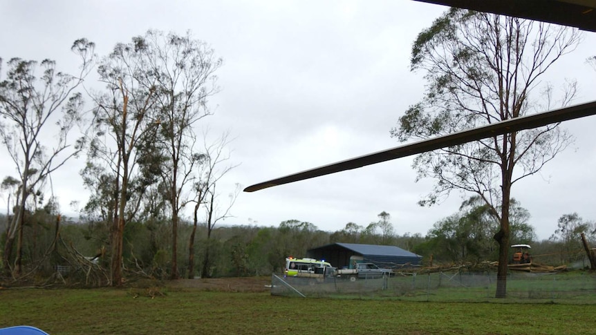 An ambulance in the distance is parked near a shed and an area of fallen trees