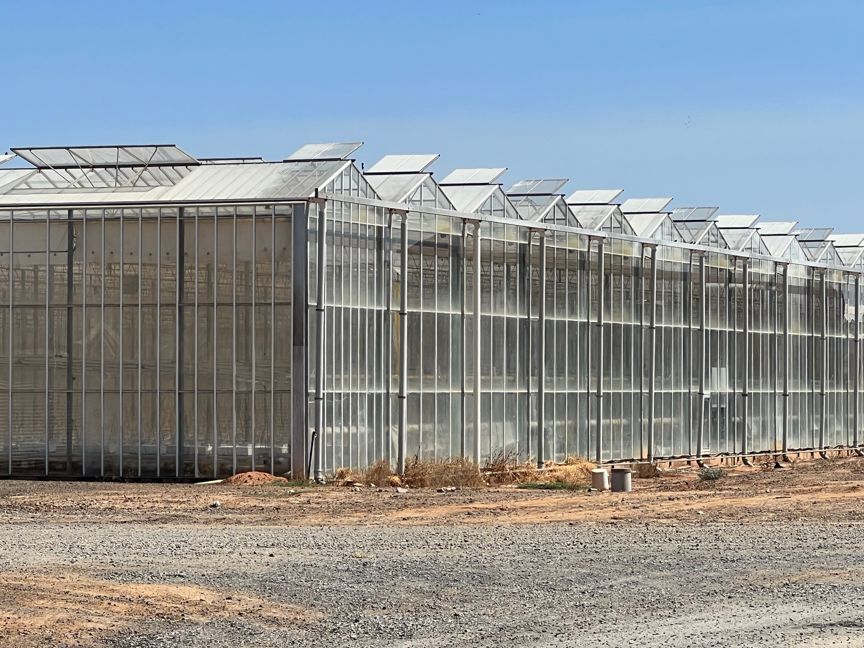 A large glasshouse building.