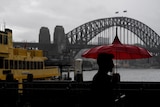 The Sydney Harbour Bridge can be seen in the background as a man holds an umbrella in dreary conditions