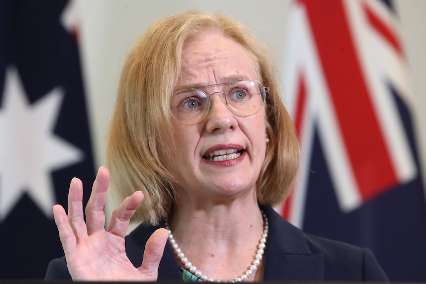 Queensland CHO Dr Jeannette Young speaks at a press conference in Brisbane.