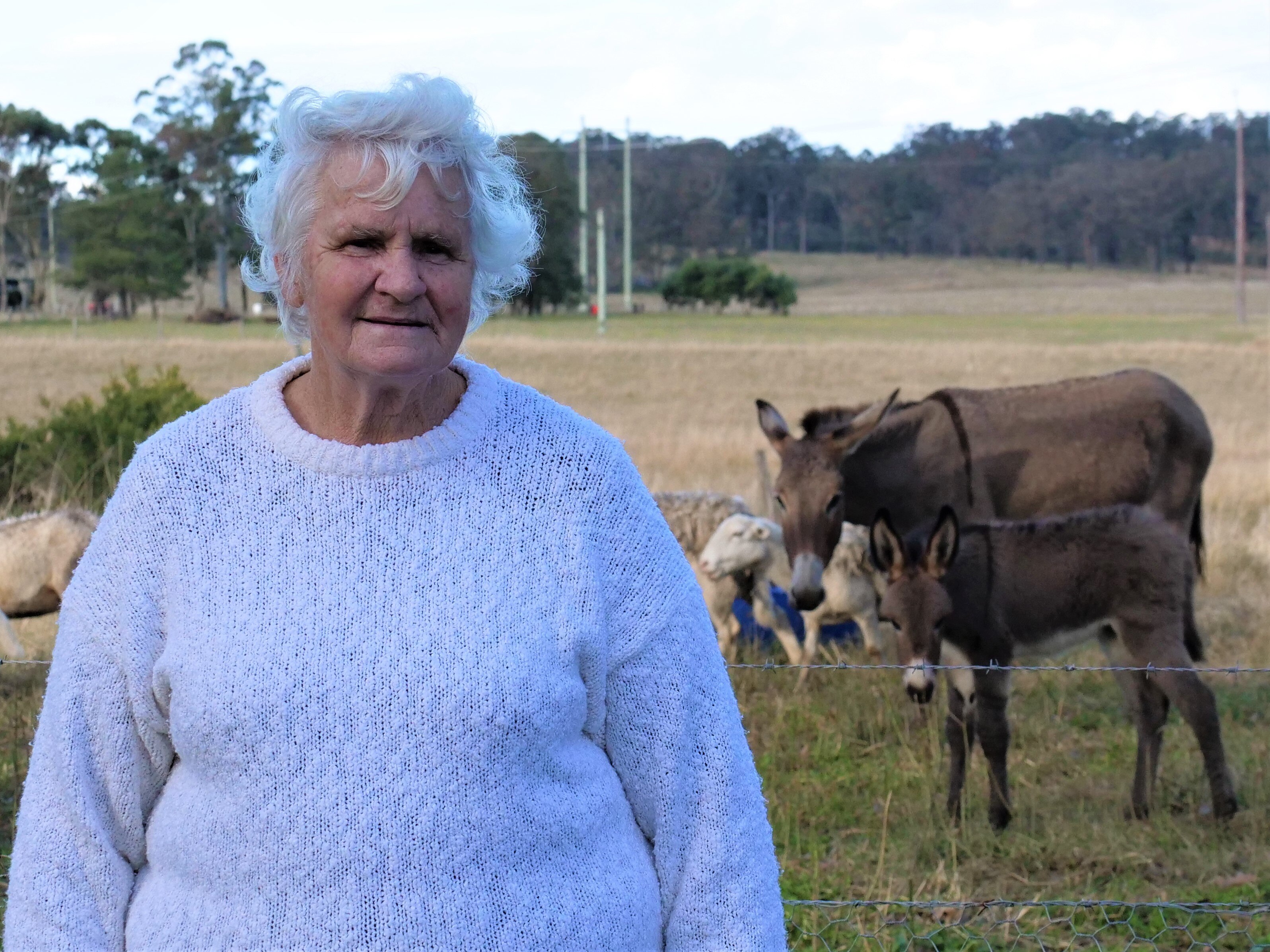 A lady in a white jumper stands smiling to camera, while a donkey and its foal are in the background with some sheep.
