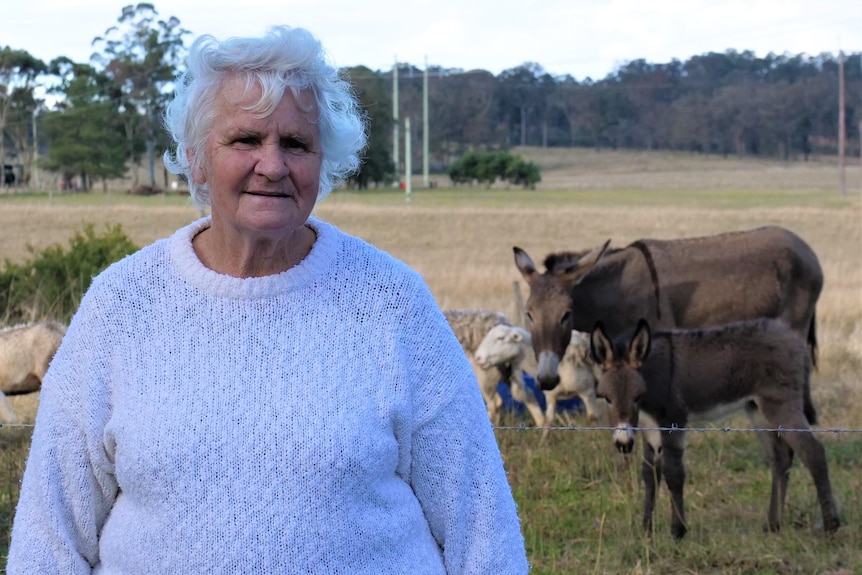 A lady in a white jumper stands smiling to camera, while a donkey and its foal are in the background with some sheep.
