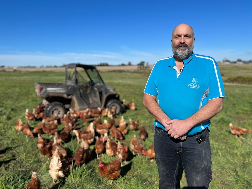A middle-aged man stands in a lush field in front of a some chooks.