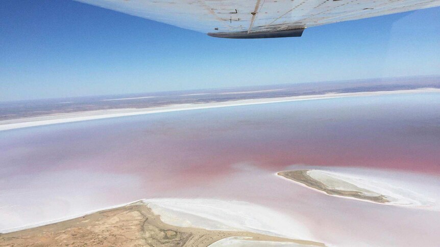 Lake Eyre with water looking pink, as seen from a light plane.