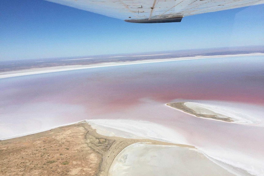 Lake Eyre with water looking pink, as seen from a light plane.