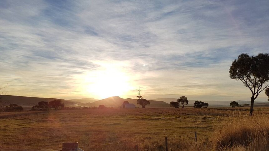 late afternoon winter sun in the Tasmanian midlands