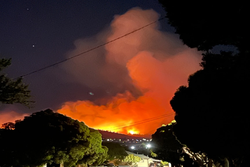 Fire glow seen from bushfire near residential area at night.