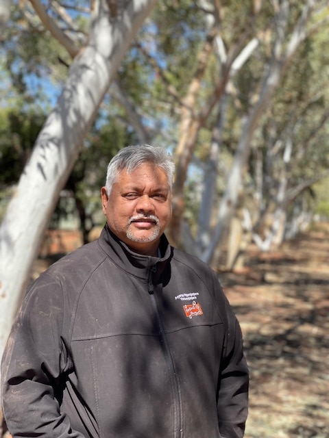 A man with grey hair, wearing a grey fleece top stands under filtered light through gum trees overhead.
