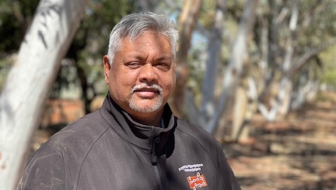 A man with grey hair and a grey fleece stands under filtered light through gum trees overhead.