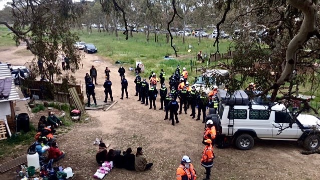 Police stand across from seated protestors, photo taken by an activist sitting  in a tree