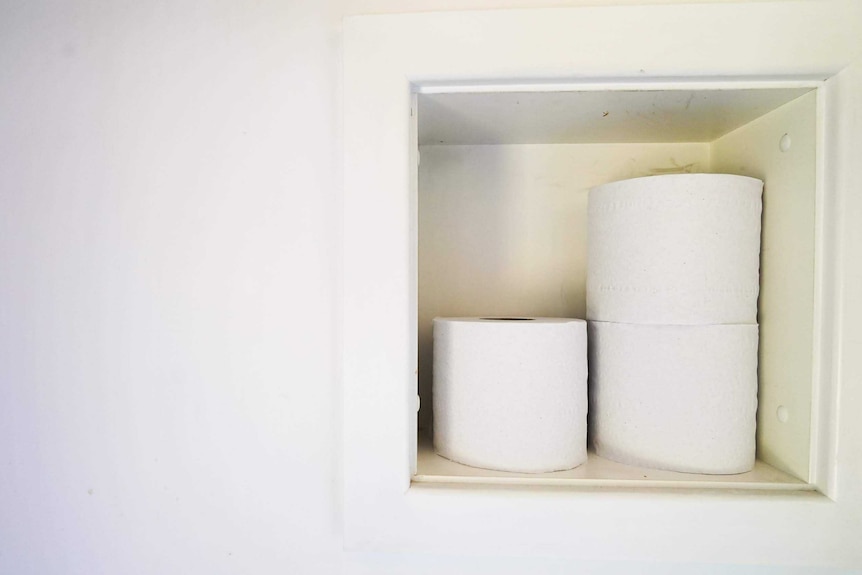 Three toilet rolls sit in a boxed ledge cut out of a plastered wall in the bus' small bathroom.