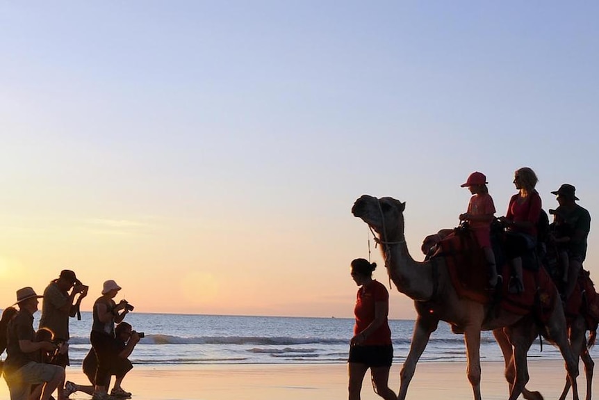 Photographers line up to snap a camel at sunset on Cable Beach.