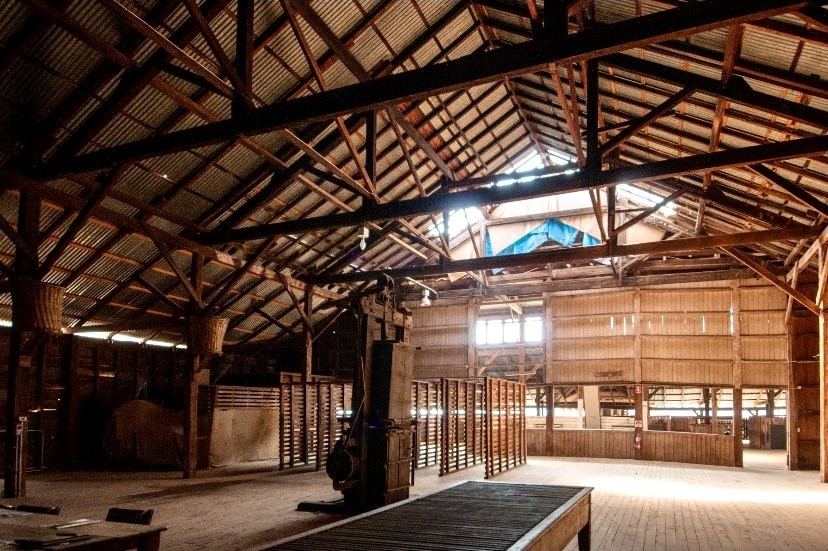 Inside a cavernous old woolshed