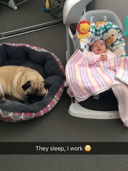 A snapchat photo of baby Lily and the pet dog with the caption 'They sleep, I work'