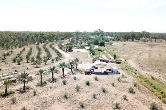 A drone shot of hundreds of date palms growing on dry land.